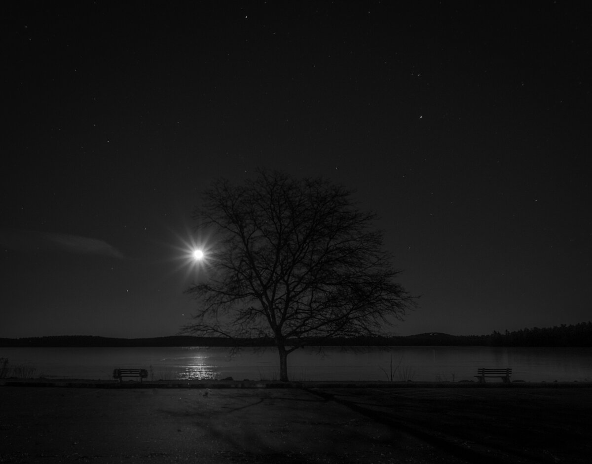 Christmas Moon