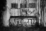 Tagged and Overgrown