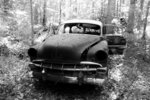 Abandoned in the Pines