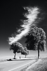 Wisp of Cloud Over a Country Road