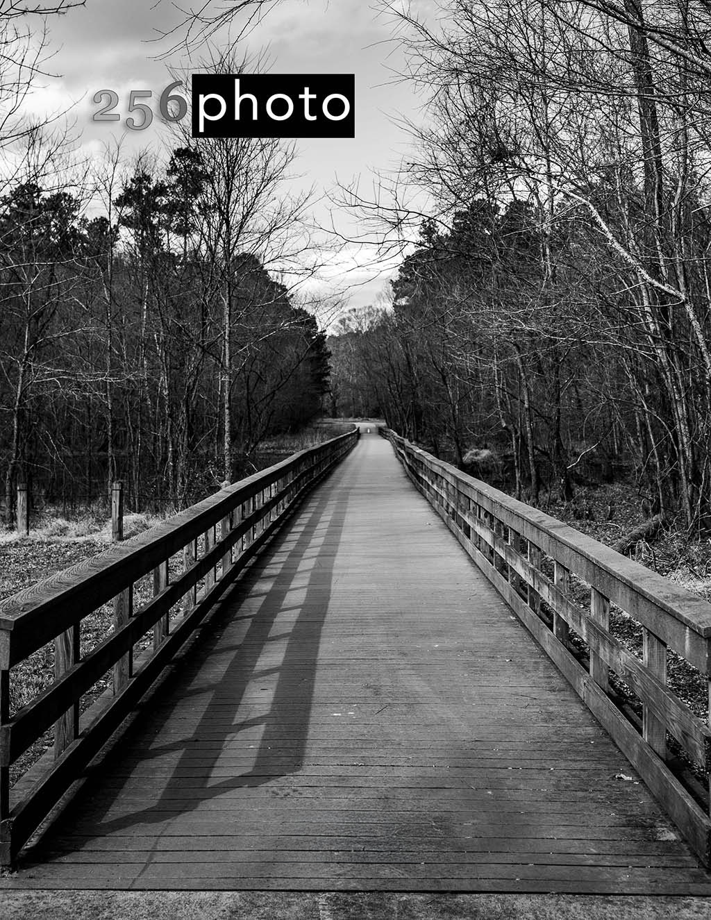 Boardwalk Path