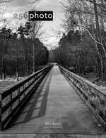 Boardwalk Path