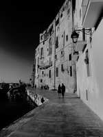 Evening Walk by the Harbor