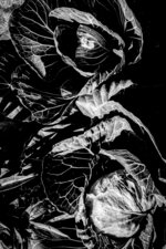 Leaf Patterns