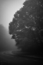 Misty Mountain Road