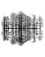 Simple Reflections