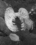 Evidence of Pegasus