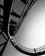 Tiger and Turtle